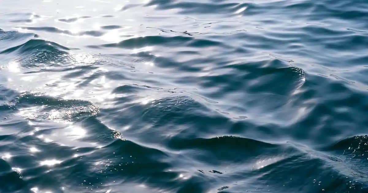 Yaz Aylarında Erkekler İçin Polo Yaka Tişörtleri: Stil ve Konforun Buluşması