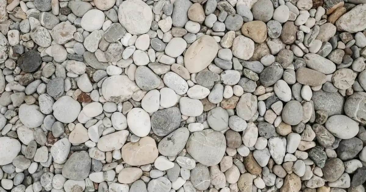 Yaz Erkek Kombinleri: Rahat ve Şık Giyim İçin Trendler ve Tavsiyeler