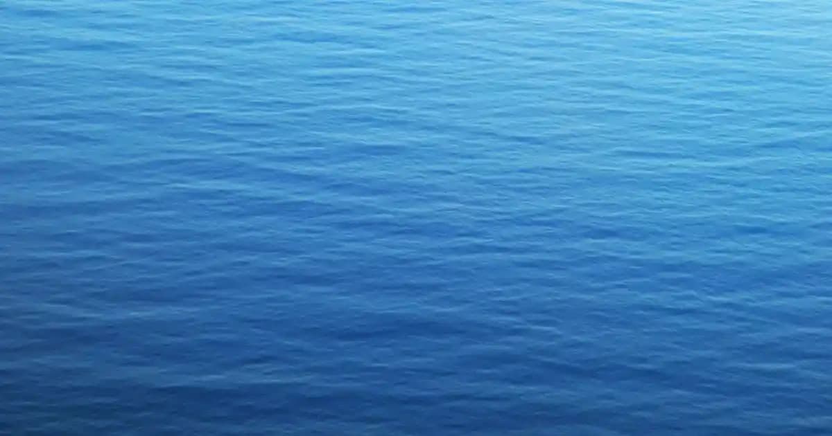 Yaz Gömlek Kombinleri: Erkek ve Kadınlar İçin Şık ve Rahat Stil Önerileri