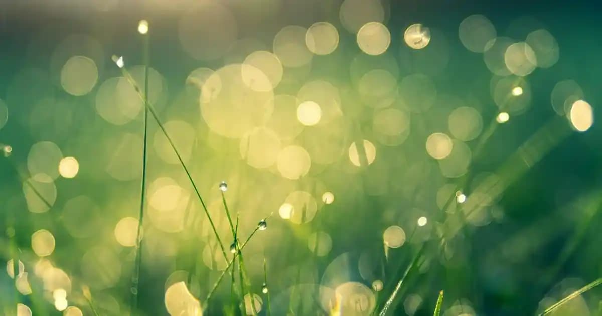 Yaz Kombinleri İçin Stil Rehberi: Rahat ve Şık Görünmenin Yolları