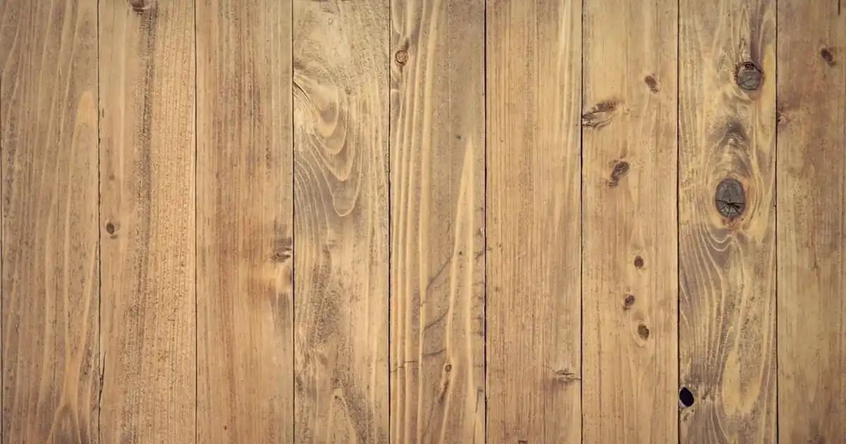 Yazılı Sweatshirtler: Günlük Şıklık ve Kişisel İfade İçin Modern Moda Parçası