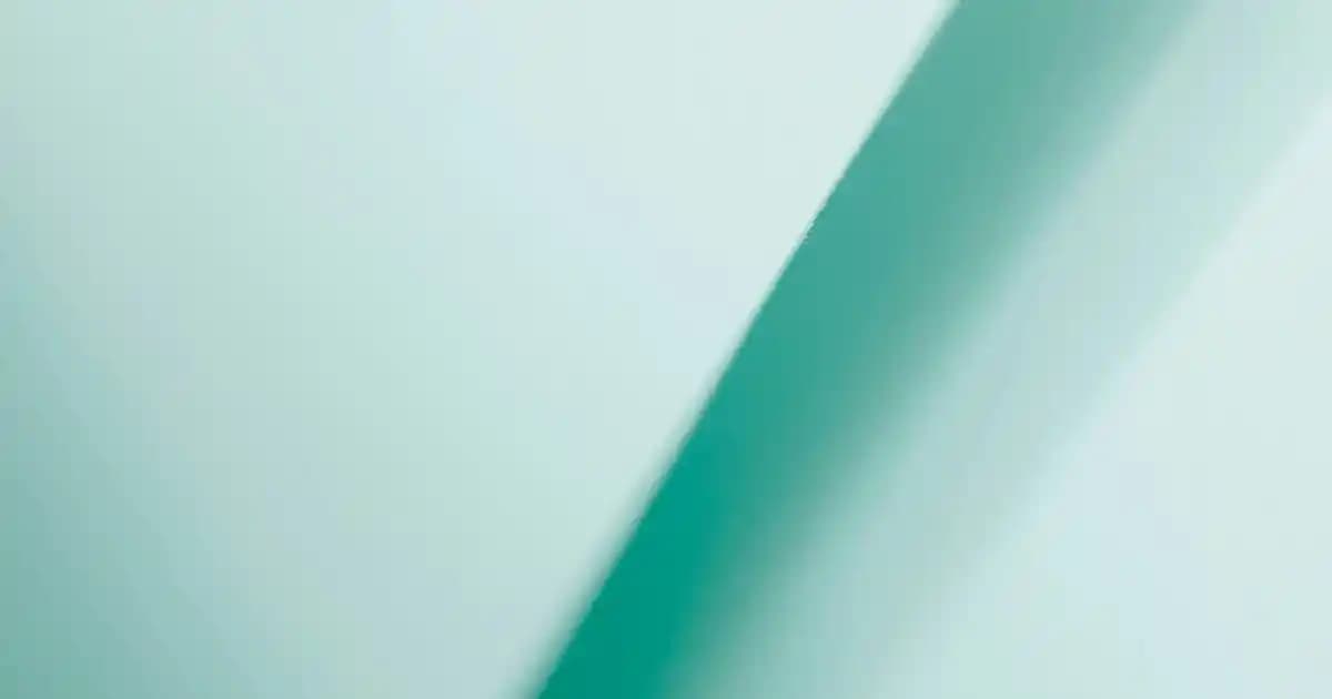 Yazlık Spor Ceketler: Modanın En Şık ve Konforlu Parçaları Hakkında Bilmeniz Gerekenler