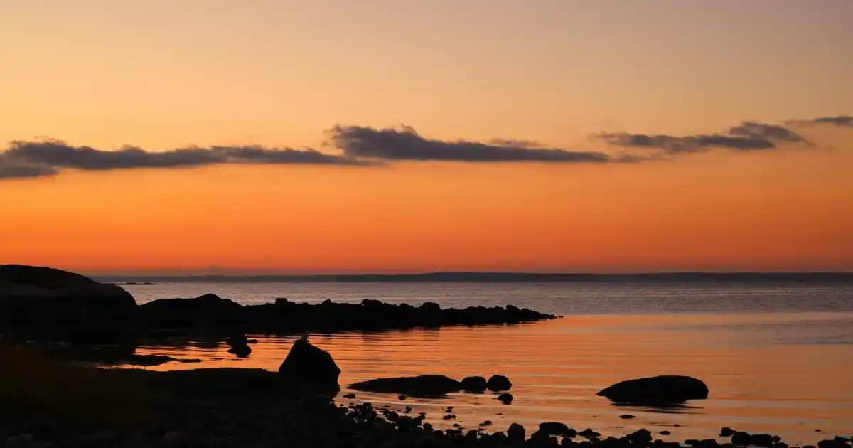 Yeni Nesil Erkekler İçin New Balance 880 Serisi: Konfor ve Performansın En İyi Seçeneği