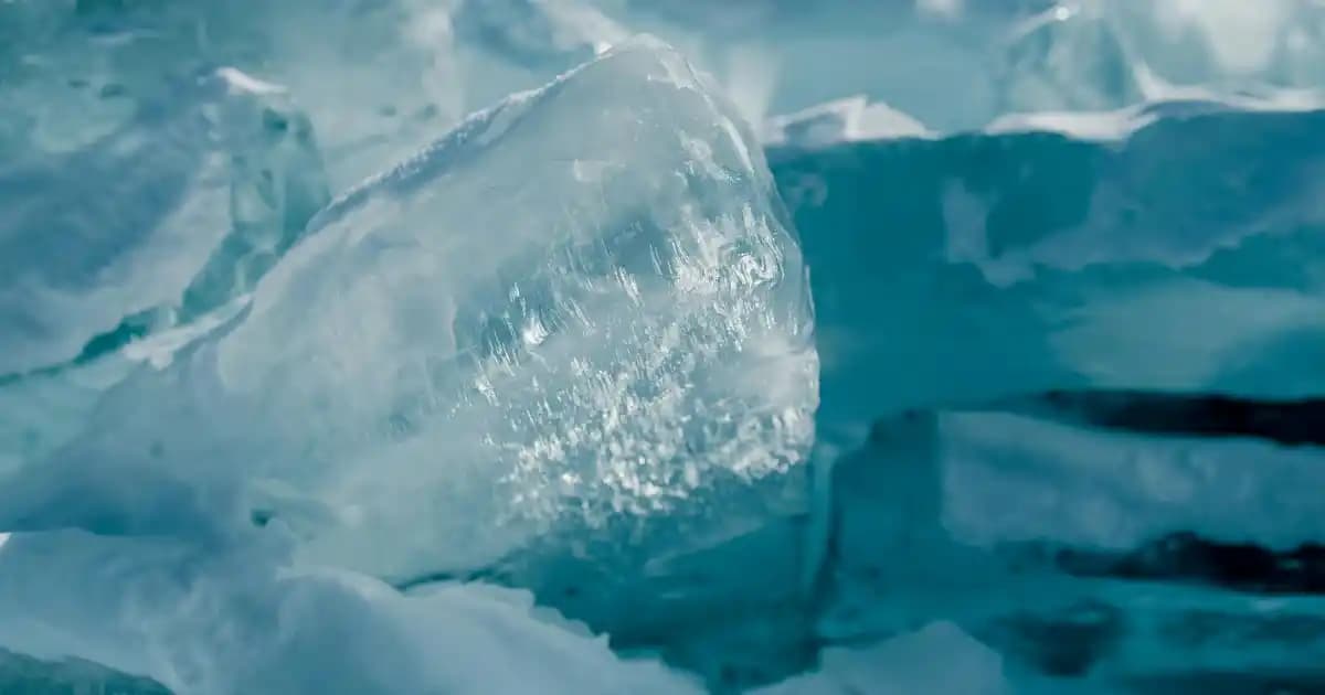 Yeşil Basketbol Ayakkabıları: Performans ve Şıklık Sunan Modeller ve Seçim İpuçları