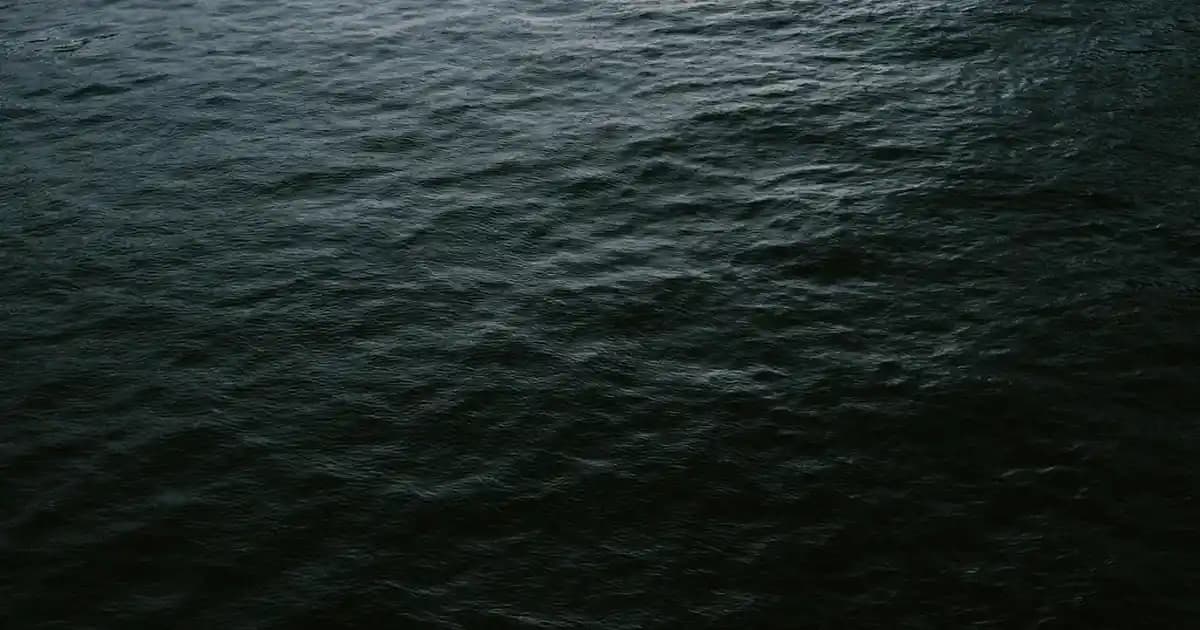 Yüksek Taban Beyaz Spor Ayakkabılar: Moda ve Konforun Mükemmel Buluşması