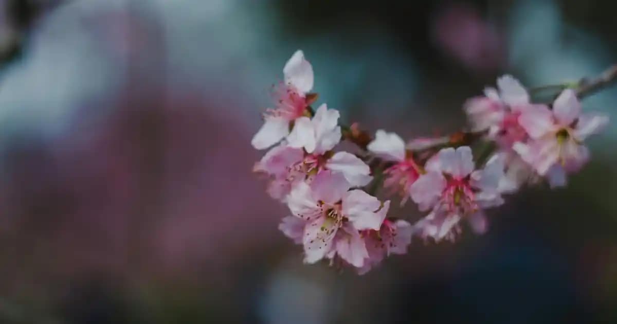 Yüksek Taban Erkek Sneaker Modelleri ve Trendleriyle Stilinizde Fark Yaratın