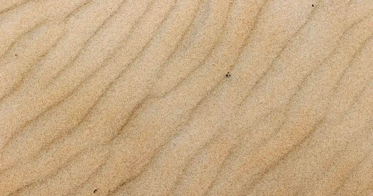 Yüksek Topuk Erkek Spor Ayakkabıları: Modern Tarz ve Konforun Buluşması