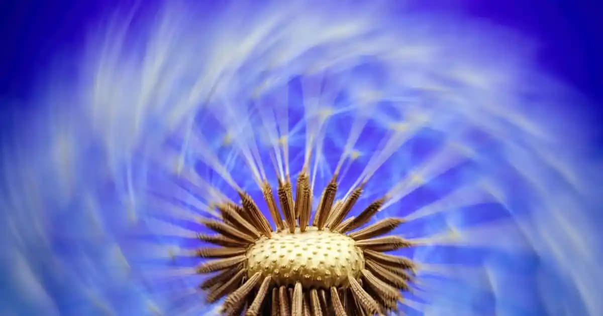 Zara Erkek Tişörtleri: Modern Tasarımlar ve Konforlu Giyim Seçenekleri