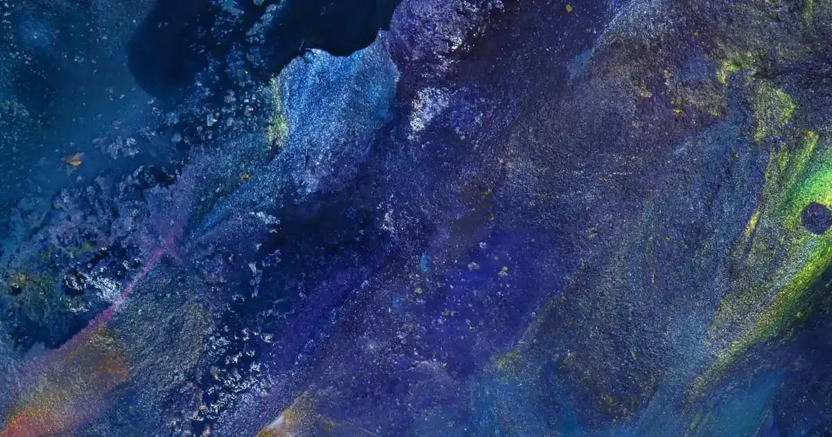 Zenci Kadınların Moda Tercihleri ve Kimlik İfadesinde Çanta ile Ayakkabının Rolü