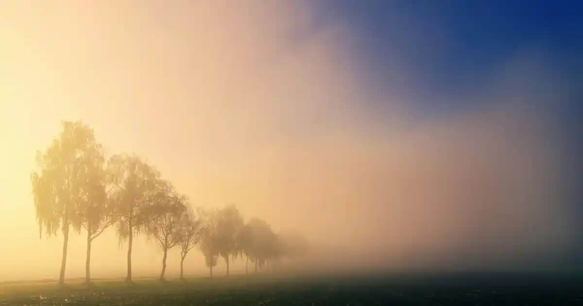 Adidas Superstar: Klasik ve Modern Tasarımıyla Kültürel Bir Ayakkabı İkonu