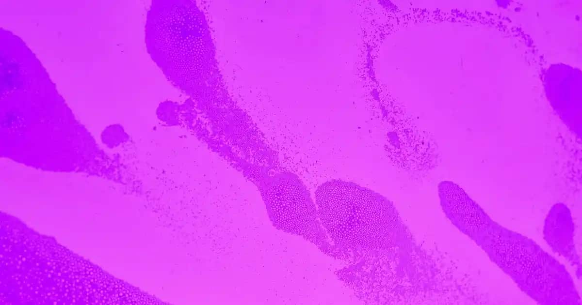 Converse Spor Ayakkabıları: Günümüz Trendleri ve Stil İkonu Olmanın Yolları