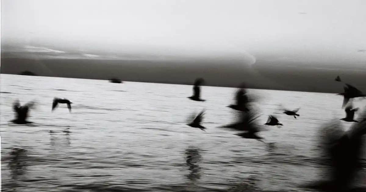 Jordan Dunk: Spor ve Moda Dünyasının En Çekici Ayakkabısı Analizi ve Stil İpuçları