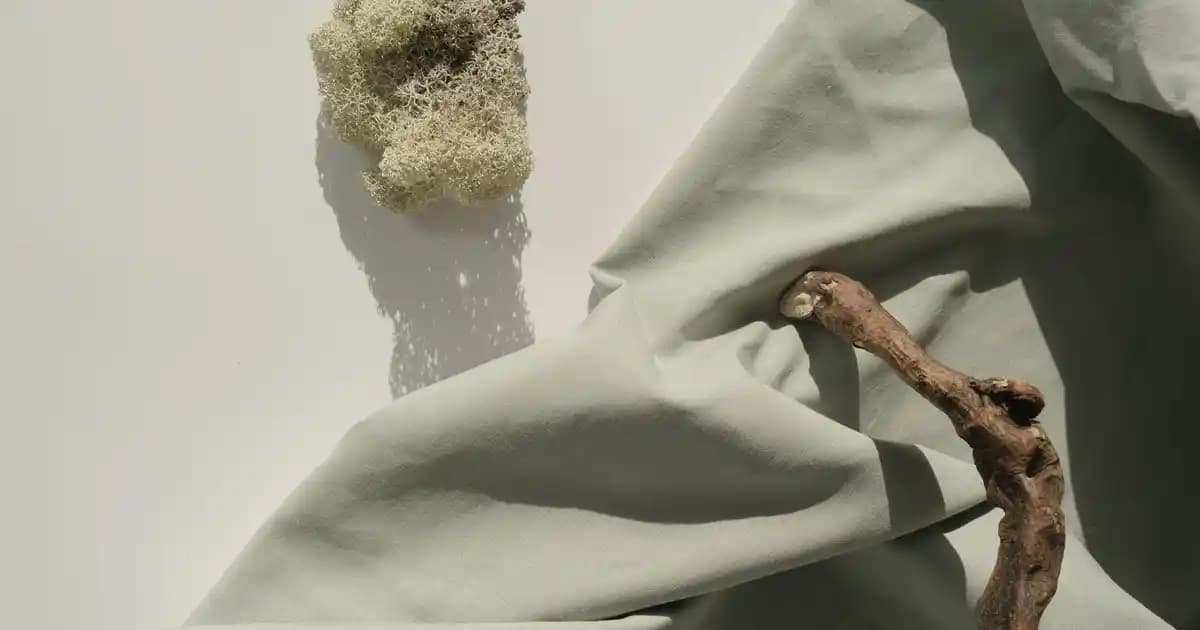 Krem Dunk: Basketbol ve Eğlence Dünyasında Yaratıcı ve Popüler Bir Hareket