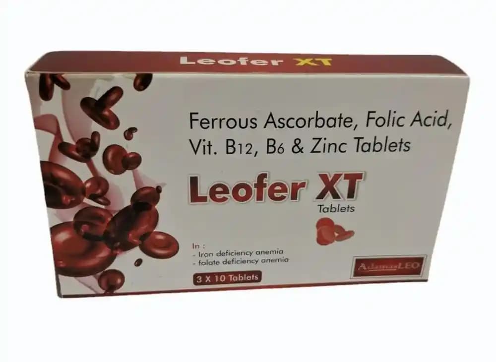 Leofer Ayakkabı ve Aksesuarlarıyla Şıklık ve Konforun Buluşması