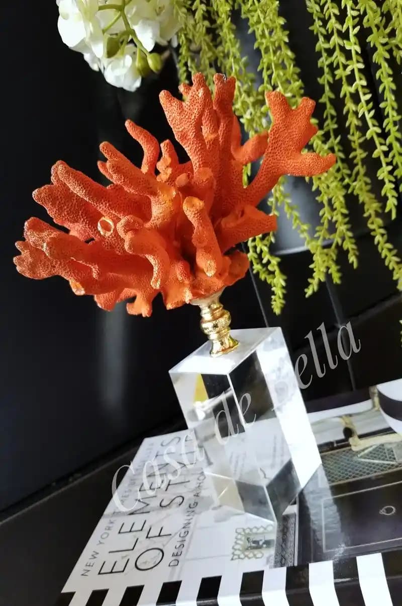 Mercan Aksesuarlarla Ayakkabılarınızı Yeniden Yaratın Trendler ve Kombin İpuçları