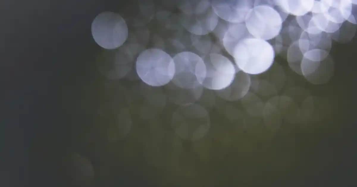 Nike Air Force 1 Siyah Logo: Modern ve İkonik Sneaker Modelleri ve Stil İpuçları