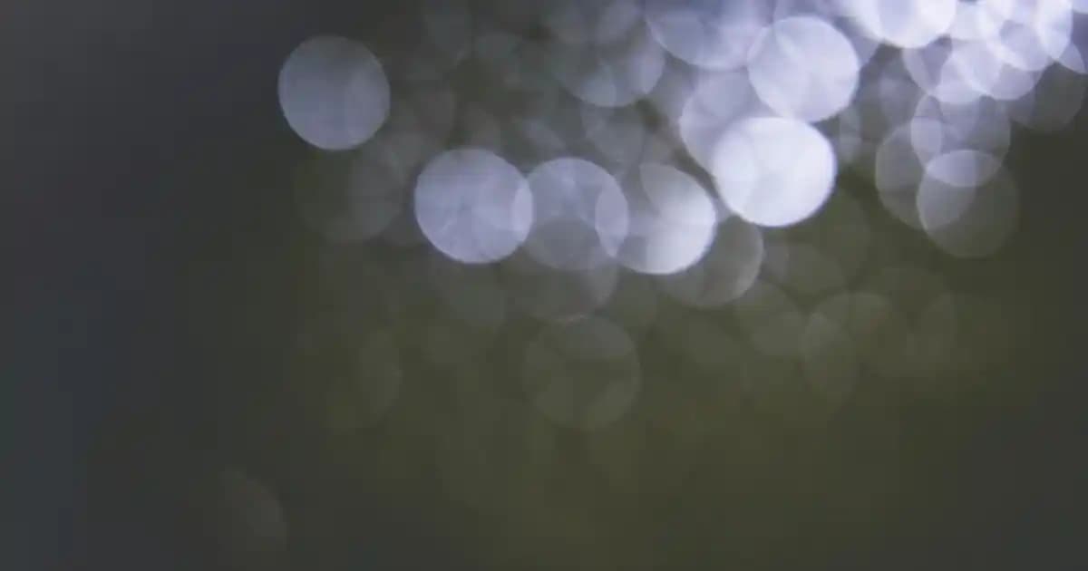 Nike Air Force 1 Siyah Logo: Modern ve İkonik Sneaker Modelleri ve Stil İpuçları