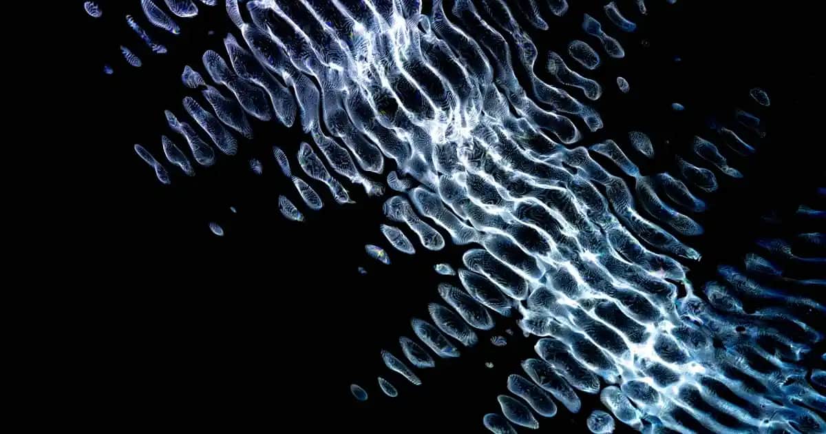 Nike Air Impact 3 Spor Ayakkabısı: Performans ve Konforun Modern Buluşması