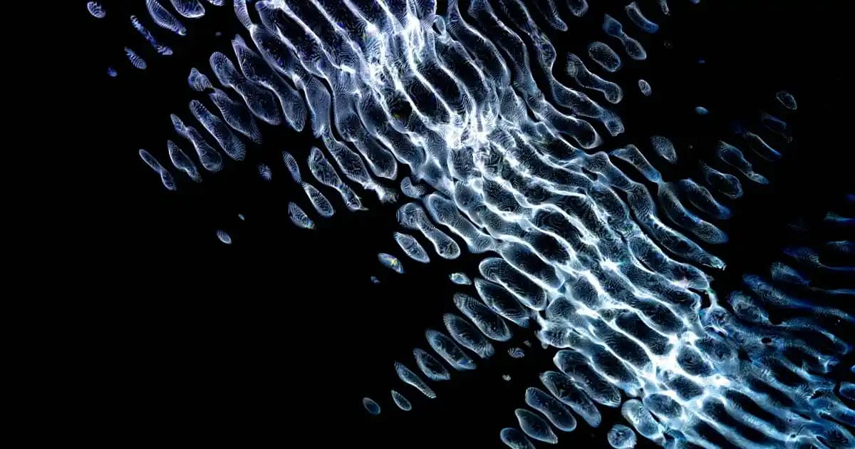 Nike Air Impact 3 Spor Ayakkabısı: Performans ve Konforun Modern Buluşması