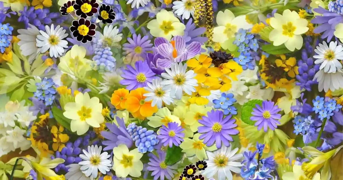 Nike Blazer Mid GS: Modern Tasarım ve Konfor Sunan Popüler Spor Ayakkabı