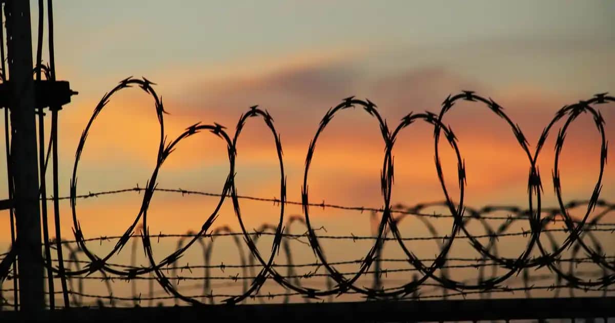 Nike Çoraplı Halı Saha Ayakkabıları: Performansı Artıran Özellikler ve Seçim Rehberi