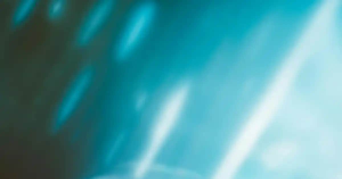 Nike Kiger 9: Doğa ve Şehir Koşuları İçin Yenilikçi ve Çevik Ayakkabı Seçeneği