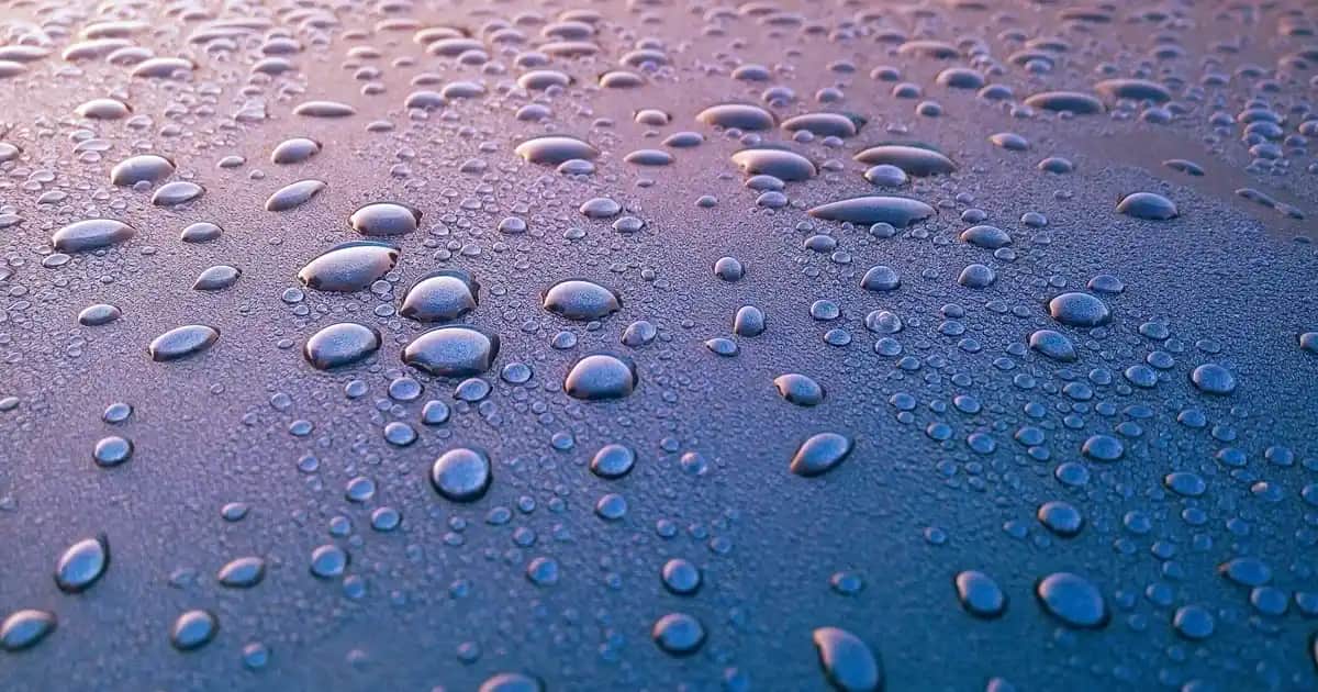 Nike React Infinity Run Flyknit 3: Performans ve Konfor Sunan Modern Koşu Ayakkabısı