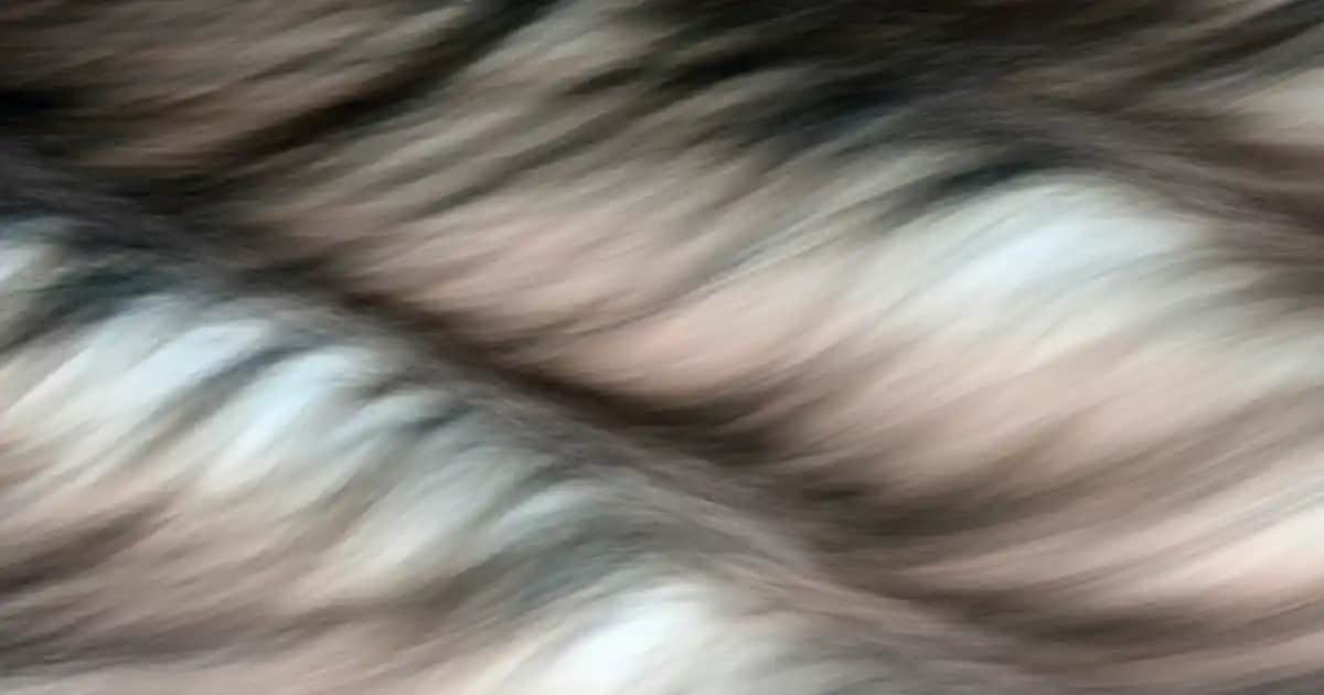 Nike Şişme Yelek: Moda ve Fonksiyonelliğin Birlikte Sunulduğu Yenilikçi Giyim Seçeneği