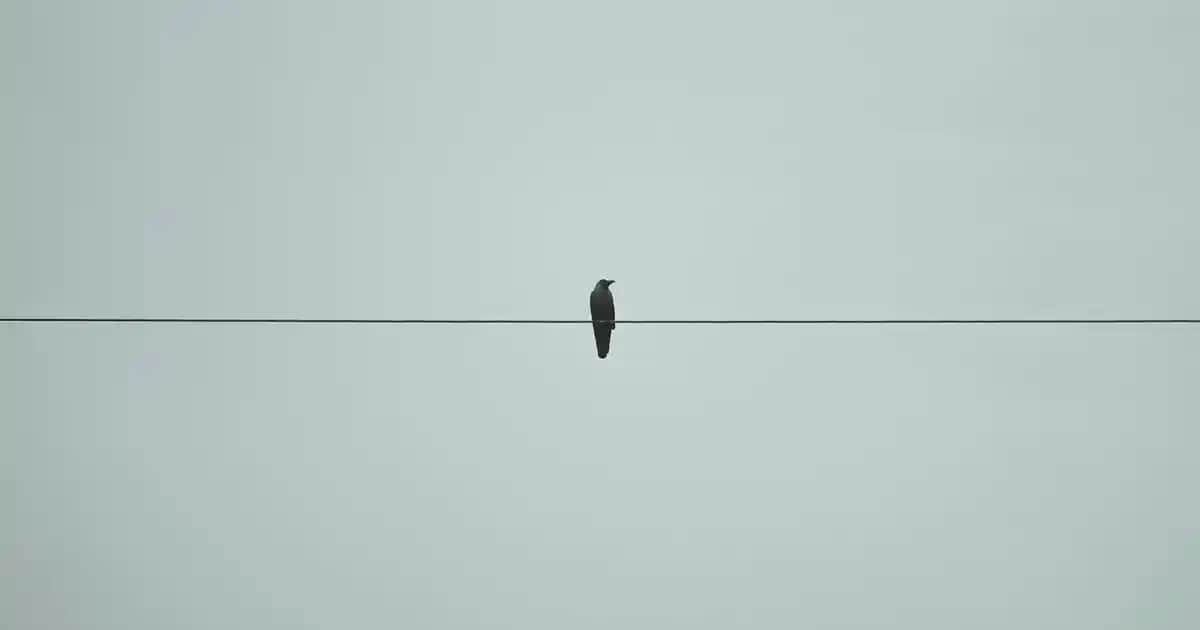 Nike Zoom Vapor 15 Academy Spor Ayakkabısı Performans ve Şıklık Bir Arada