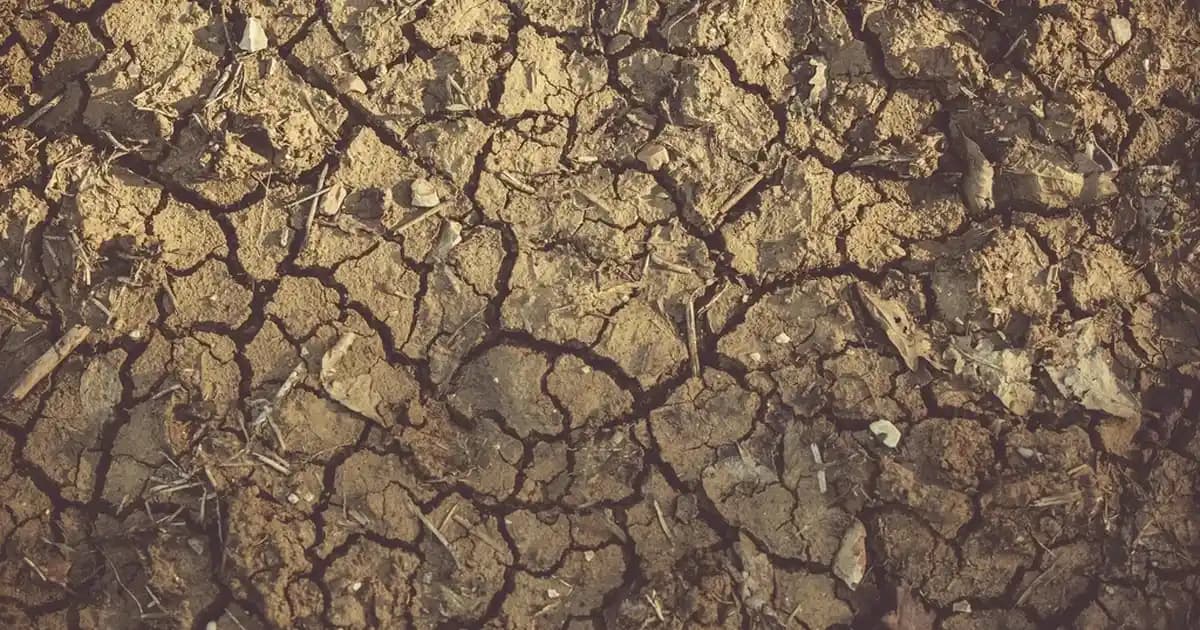 Puma X-Ray Speed Lite: Hafif ve Şık Spor Ayakkabı Modelleri ve Özellikleri