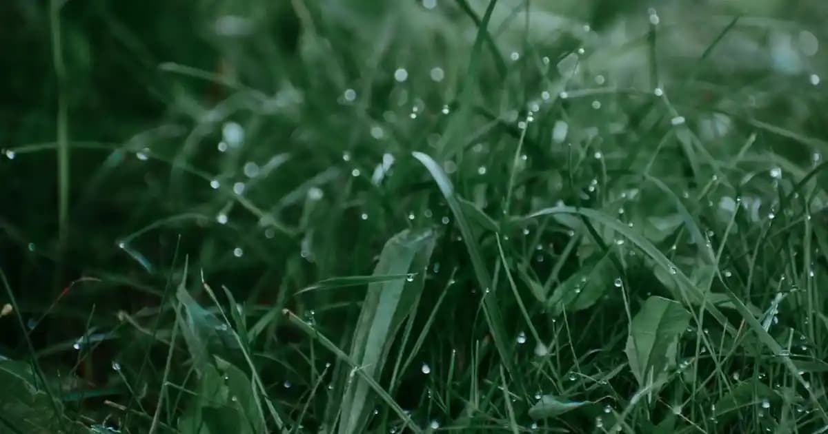 Siyah Air Force 1 Ayakkabıları: Moda ve Fonksiyonelliğin Güçlü Buluşması