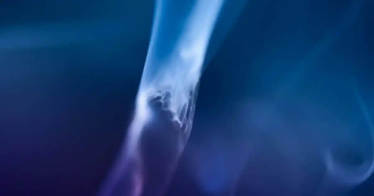 Skechers Graceful Serisi: Şık ve Konforlu Günlük Ayakkabılar