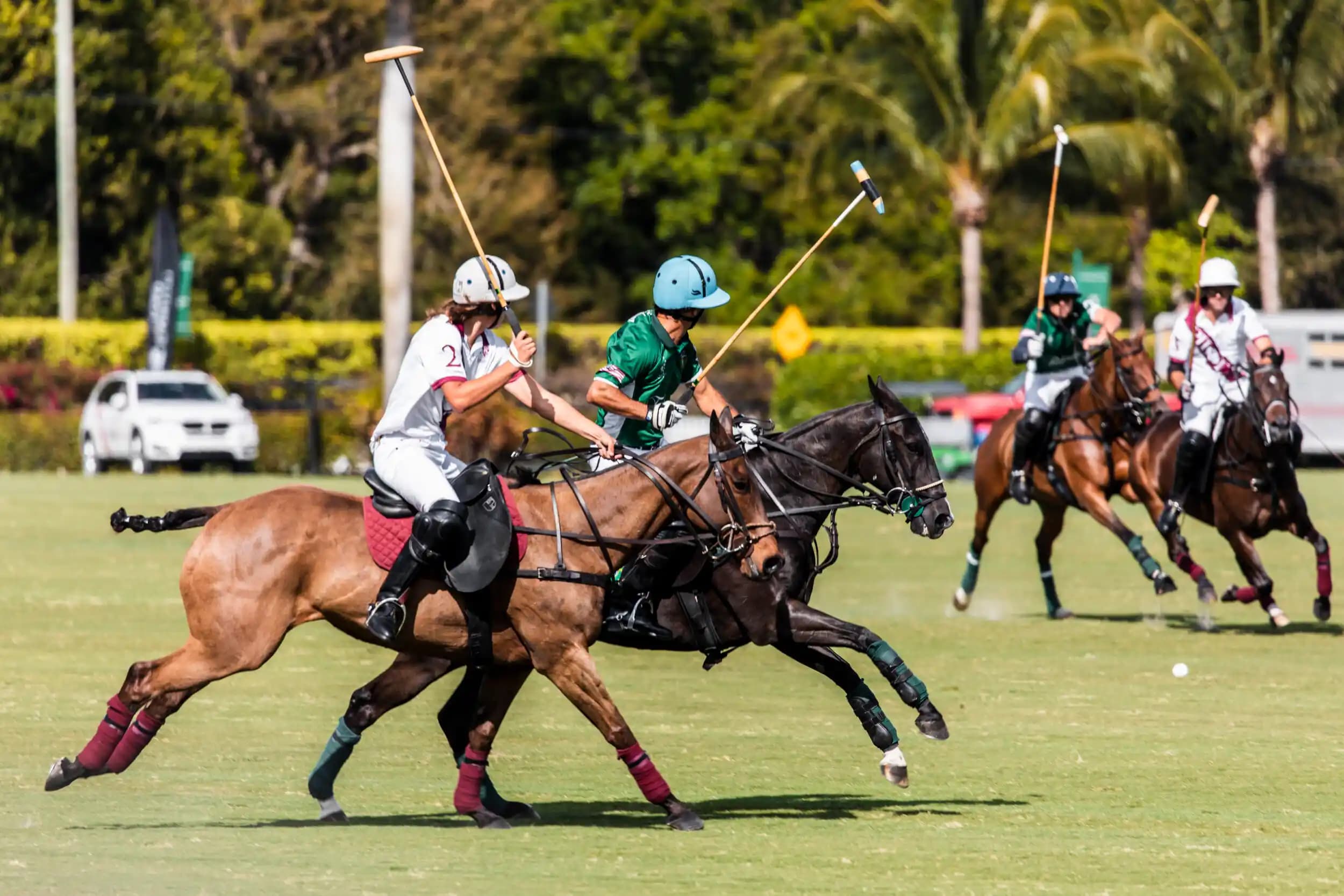 Spor Polo ve Ayakkabı Aksesuarlarıyla Günlük Şıklık ve Konforu Yakalayın