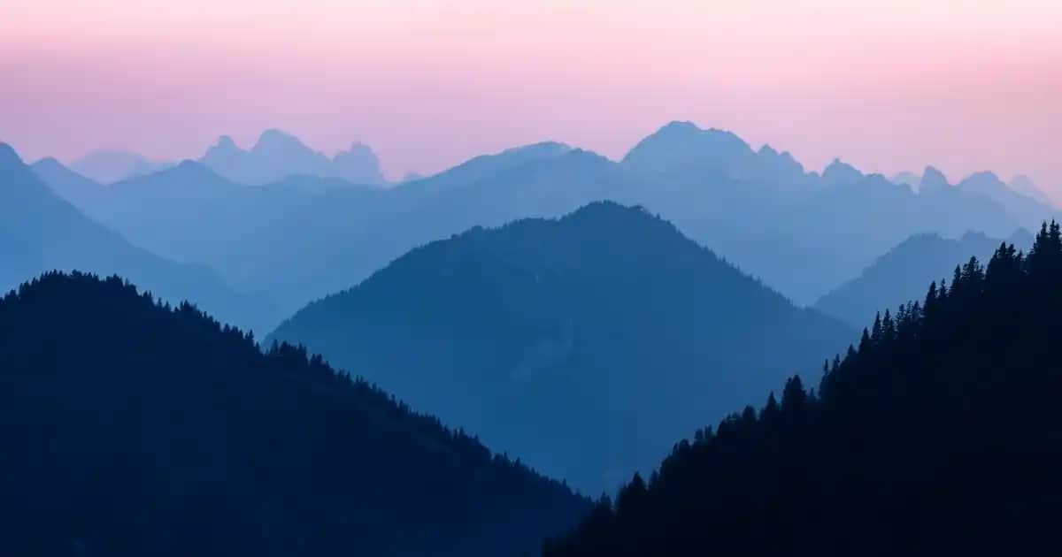 Vans YT Ward: Sokak Modasının Modern ve Dayanıklı Ayakkabısı İncelemesi