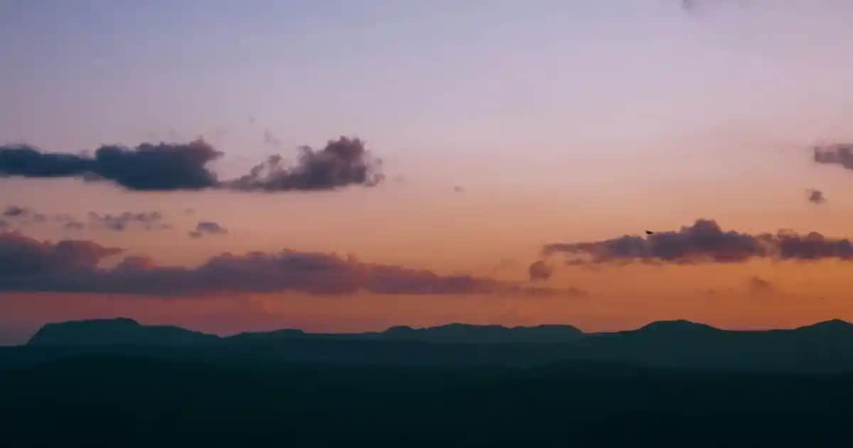 Voleybol Giysileri Seçimi ve Trendler: Performansı Artıran ve Stil Yansıtan Kıyafetler