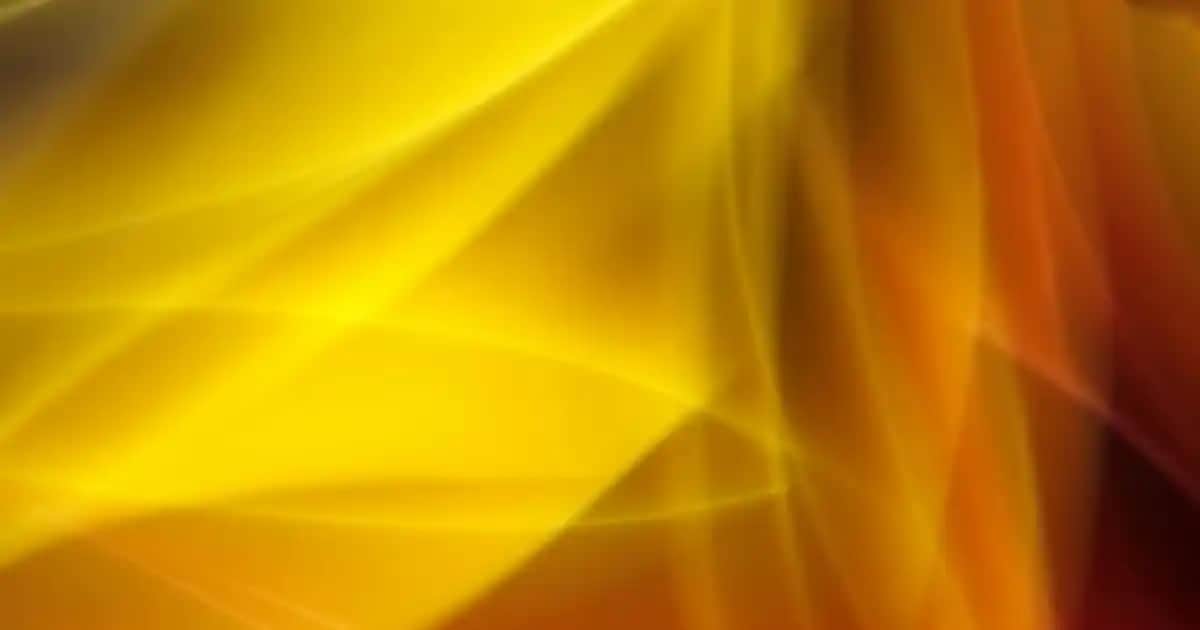 Vomero Ayakkabıları: Şıklık ve Konforu Bir Arada Sunan Modern Spor ve Günlük Ayakkabılar