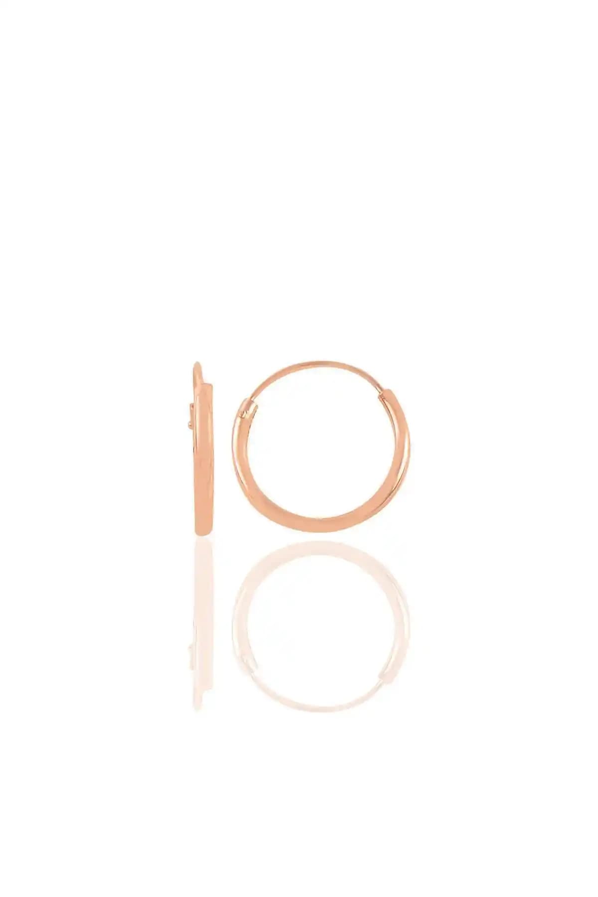 Söğütlü Silver Gümüş Mini Rose ve Zirkon Taşlı 12 Mm Halka Küpe Karşılaştırması