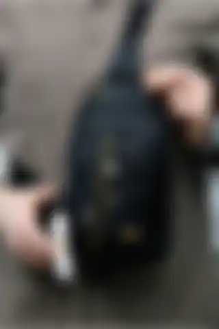 Fao PoloSeventeen Siyah Orta Boy Çok Gözlü Sırt ve Çapraz Çanta